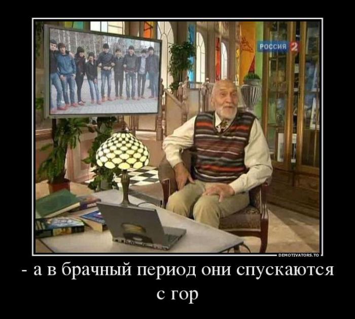 Демотиваторы (51 фото)
