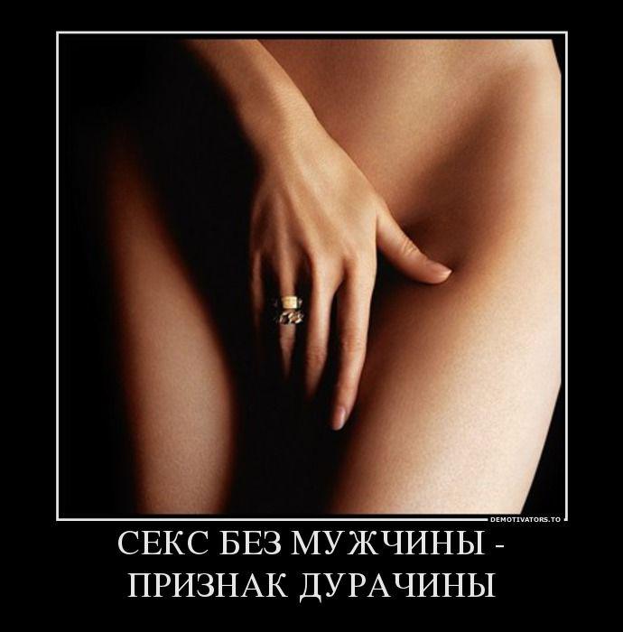Демотиваторы (51 фото)