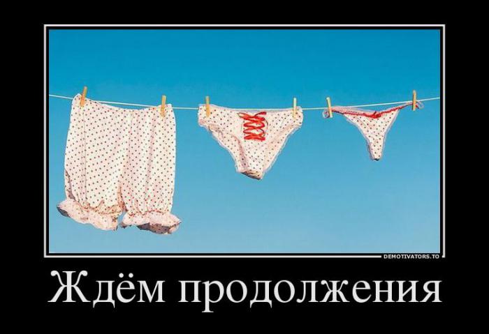 Демотиваторы (51 фото)