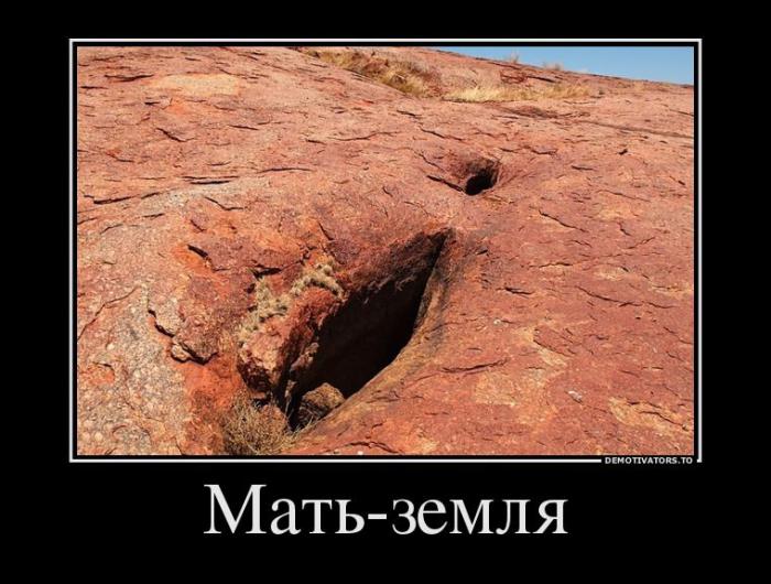 Демотиваторы (51 фото)