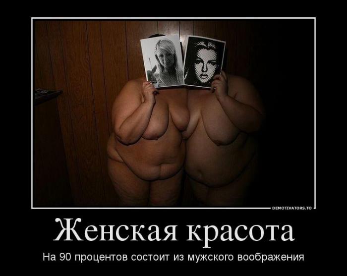 Демотиваторы (51 фото)