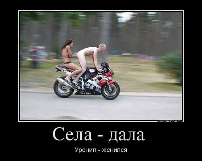 Демотиваторы (51 фото)