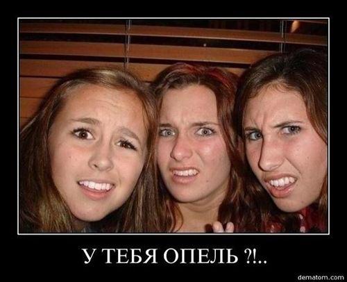 Демотиваторы (51 фото)