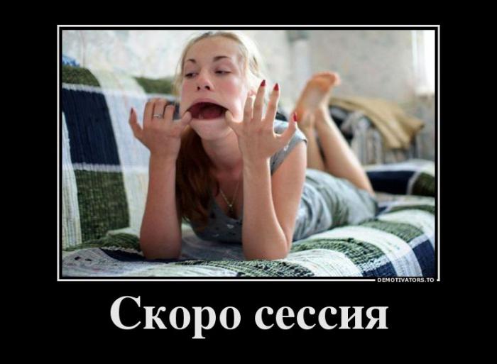 Демотиваторы (51 фото)