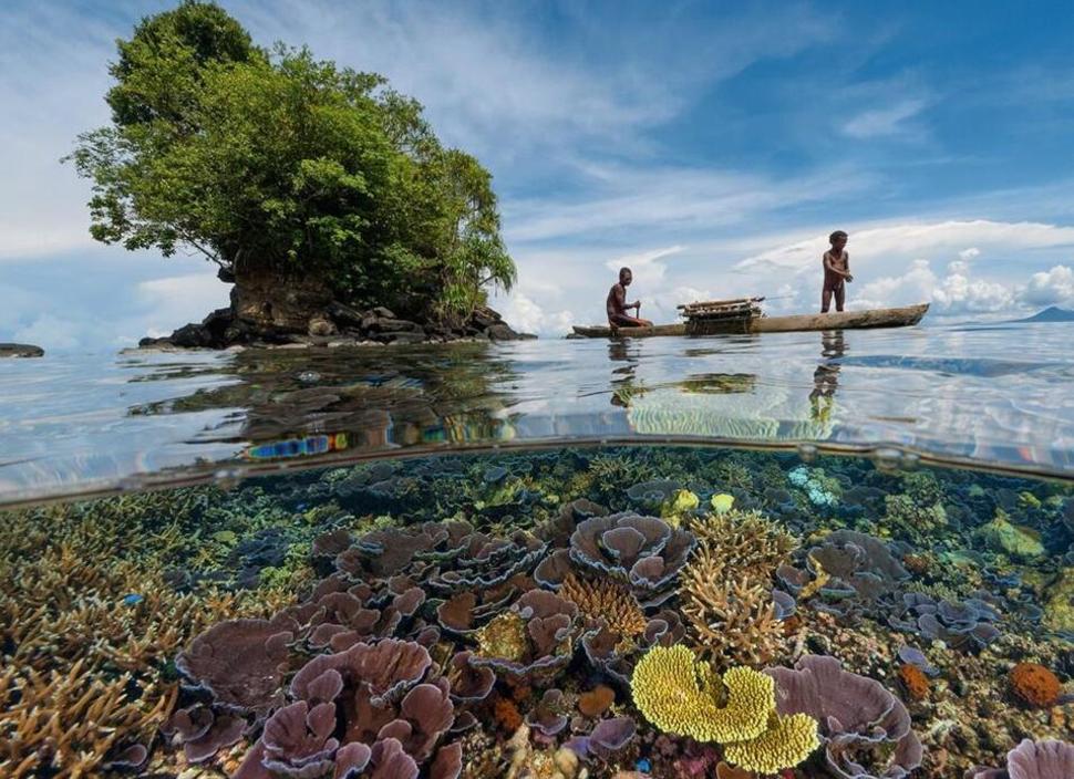 Что скрывается под водой: 34 невероятные фотографии