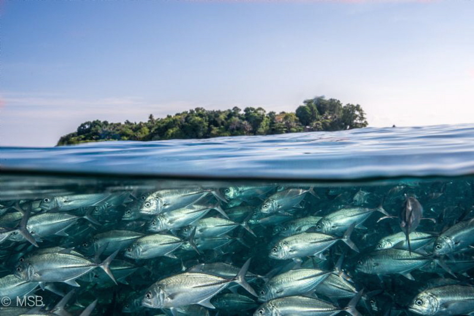 Что скрывается под водой: 34 невероятные фотографии
