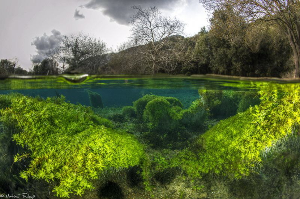 Что скрывается под водой: 34 невероятные фотографии