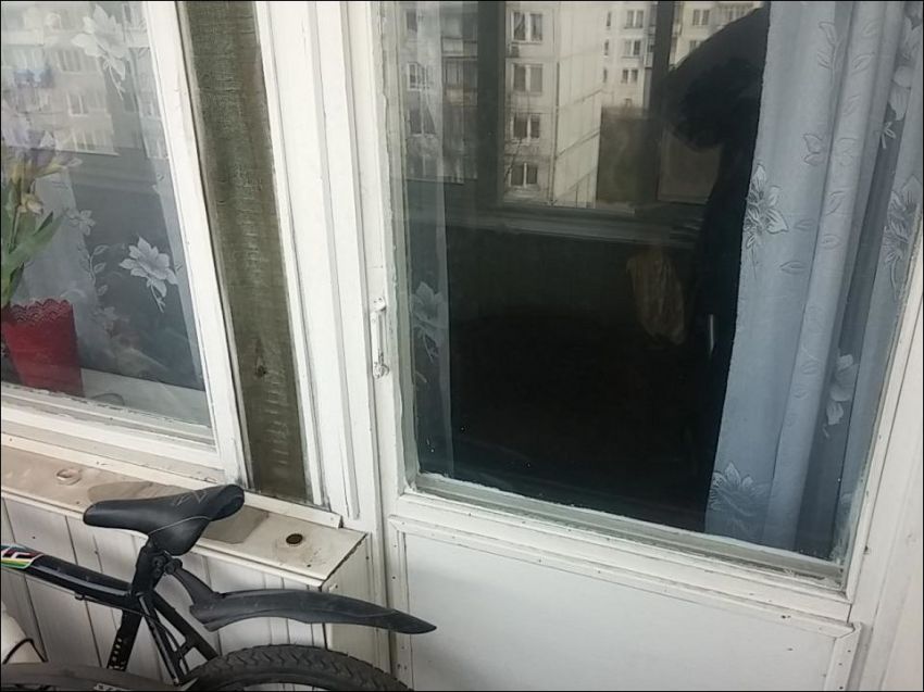 Хозяина на балконе закрыл его кот