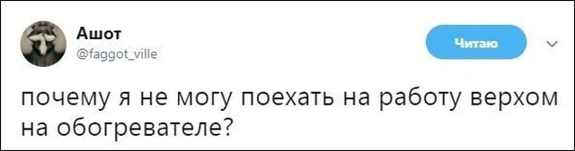 Высказывания и комментарии из социальных сетей