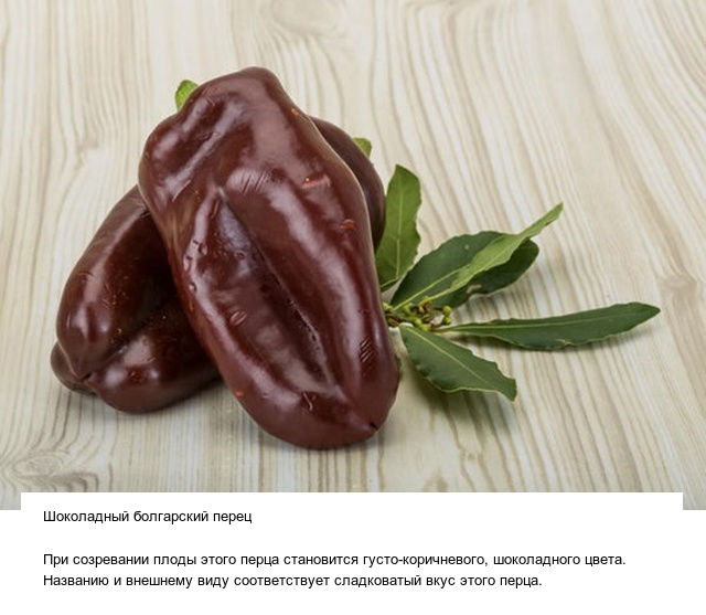 Странные овощи и необычные плоды, которые вас точно удивят