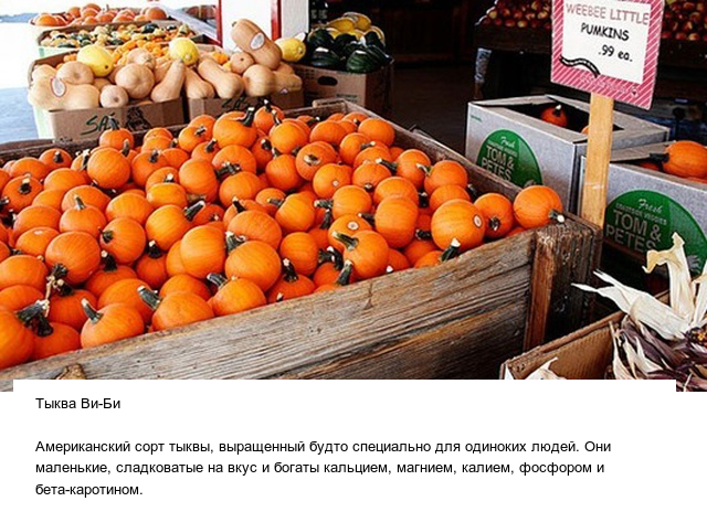 Странные овощи и необычные плоды, которые вас точно удивят