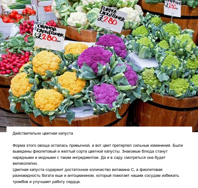Странные овощи и необычные плоды, которые вас точно удивят