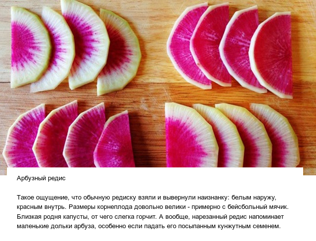 Странные овощи и необычные плоды, которые вас точно удивят