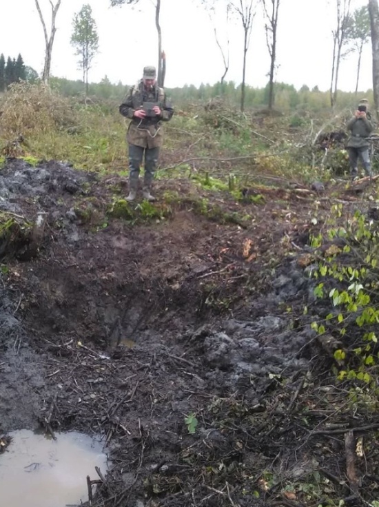 Обломки сбитого советского Ил-2 извлекли из земли в Эстонии