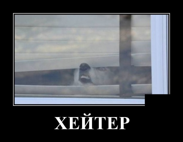 Демотиваторы
