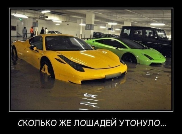 Демотиваторы