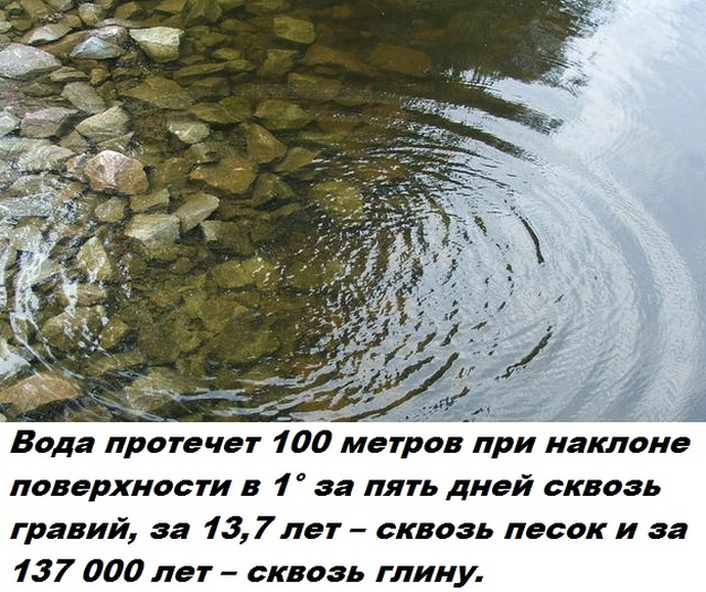 Бесполезные факты обо всем на свете