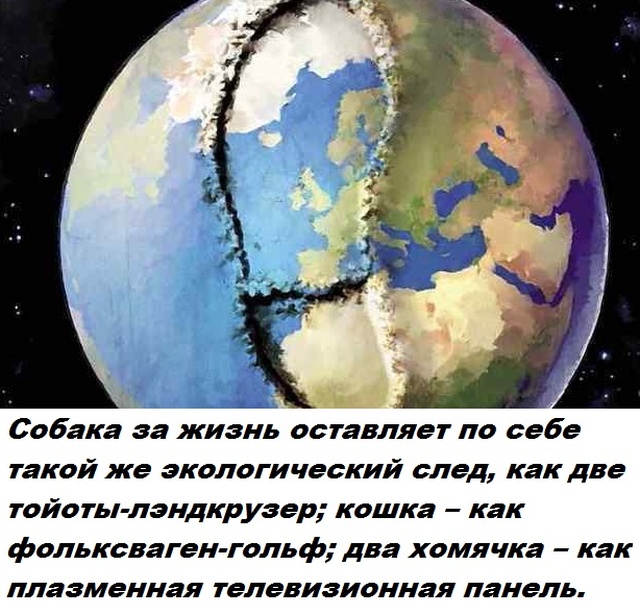 Бесполезные факты обо всем на свете