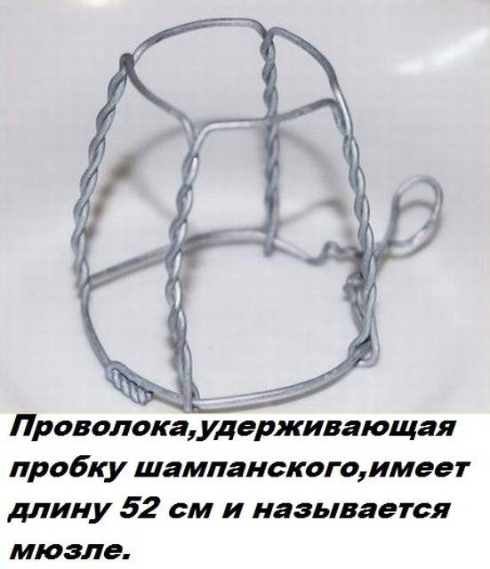 Бесполезные факты обо всем на свете
