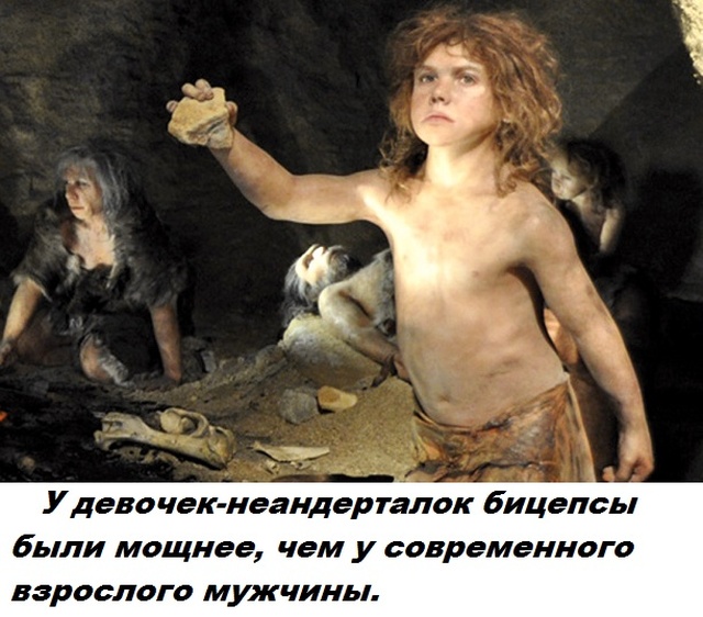 Бесполезные факты обо всем на свете