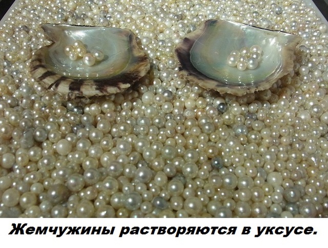 Бесполезные факты обо всем на свете