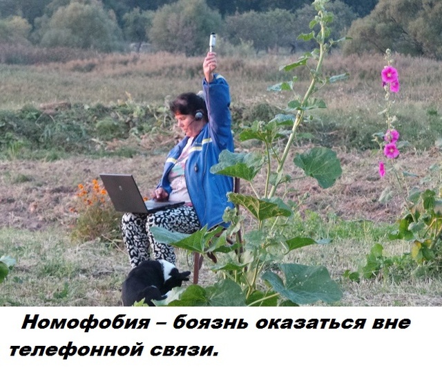 Бесполезные факты обо всем на свете