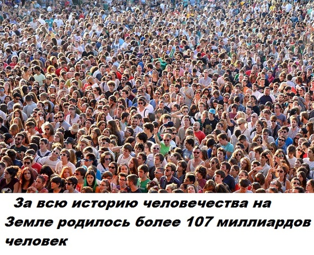Бесполезные факты обо всем на свете