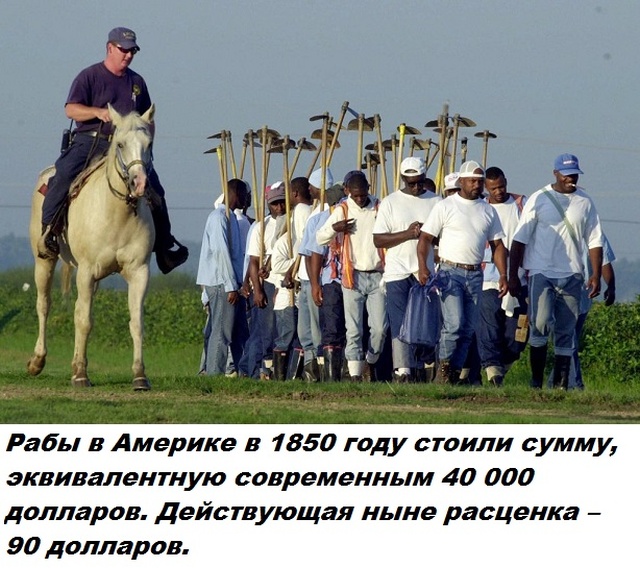 Бесполезные факты обо всем на свете