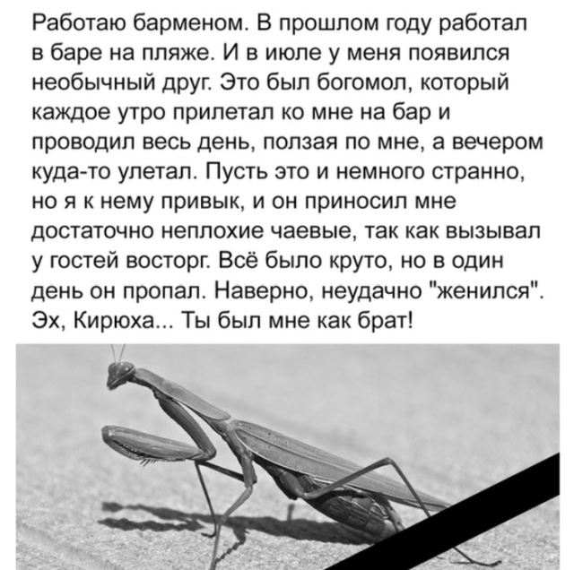 Истории из социальных сетей