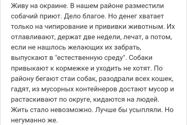 Истории из социальных сетей