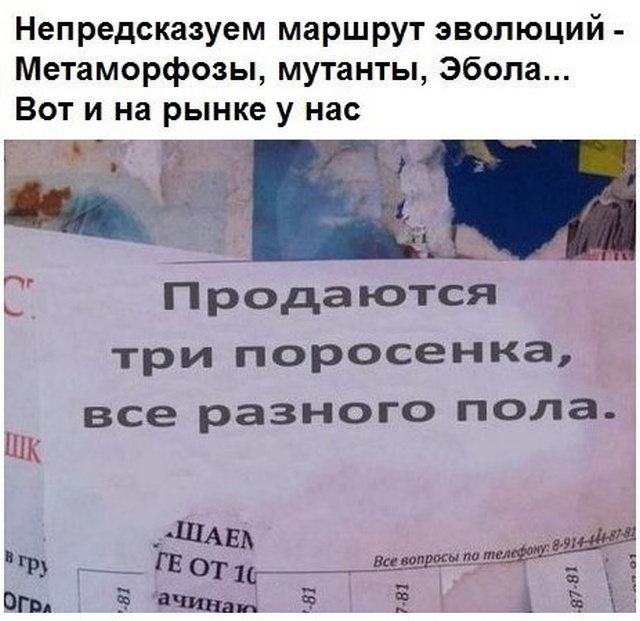 Картинки с рифмами из социальных сетей