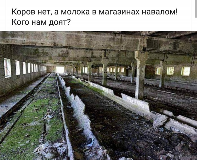 Мысли с просторов сети