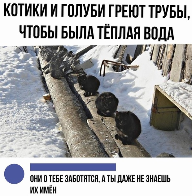 Мысли с просторов сети