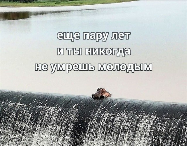 Мысли с просторов сети