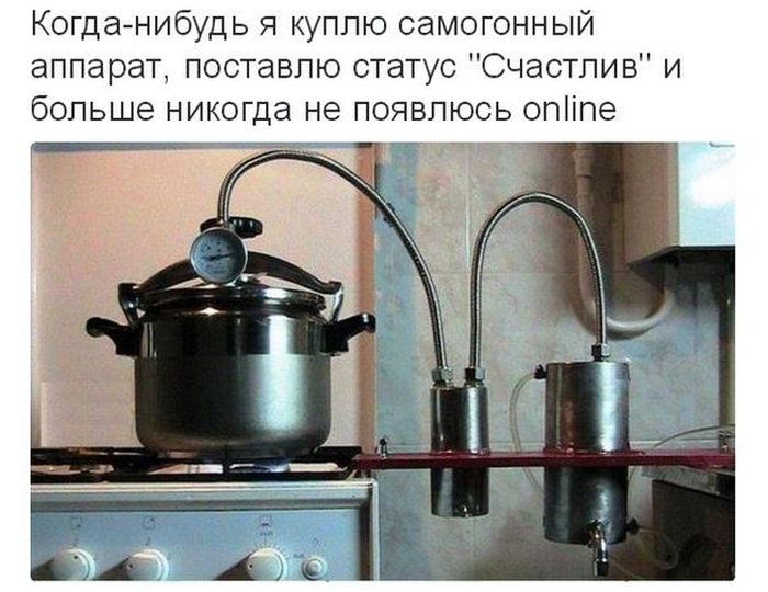 Порция картинок