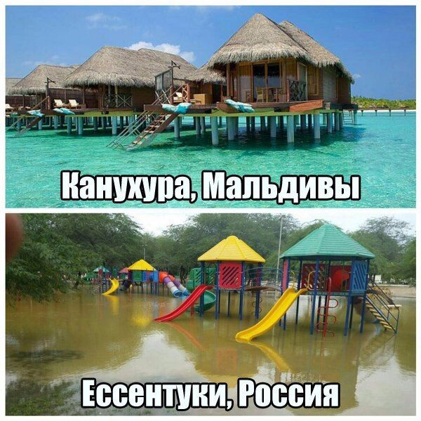 Порция картинок