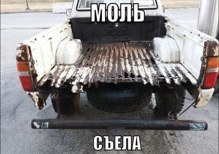 Порция картинок