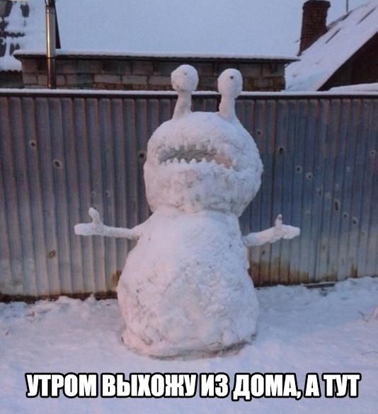 Порция картинок
