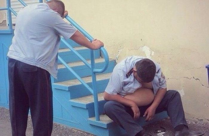 Порция картинок