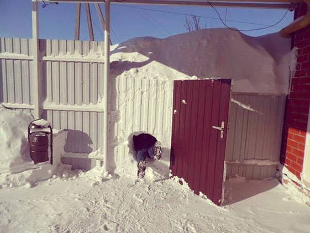 Фотографии, которые говорят больше чем слова