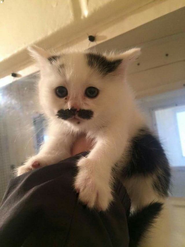 Фотографии, которые говорят больше чем слова