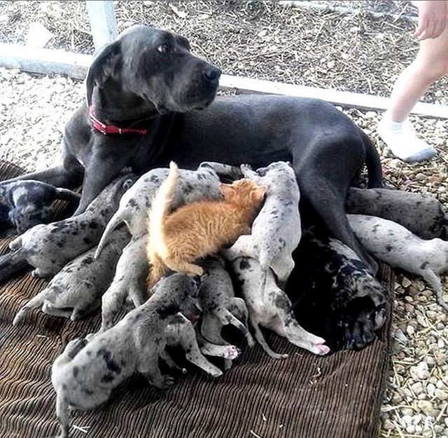 Фотографии, которые говорят больше чем слова