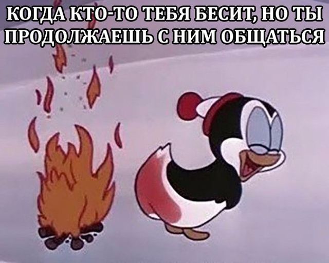 Прикольные картинки