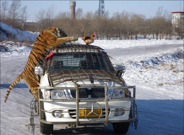 Снимки, сделанные за секунду до...