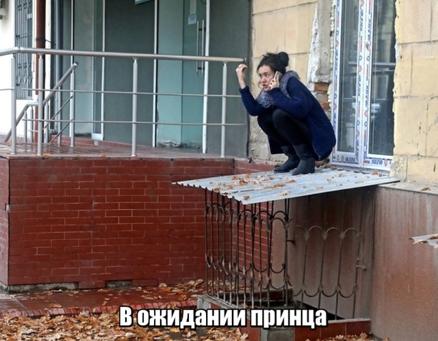 Прикольные картинки