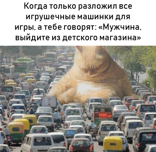 Прикольные картинки