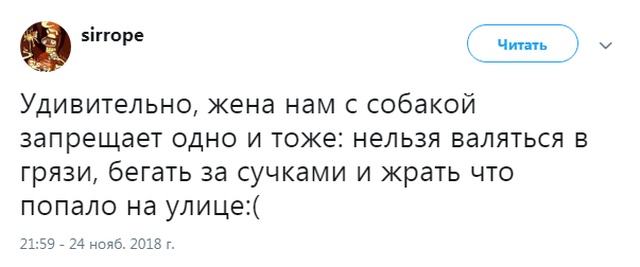 Шутки и картинки из социальных сетей