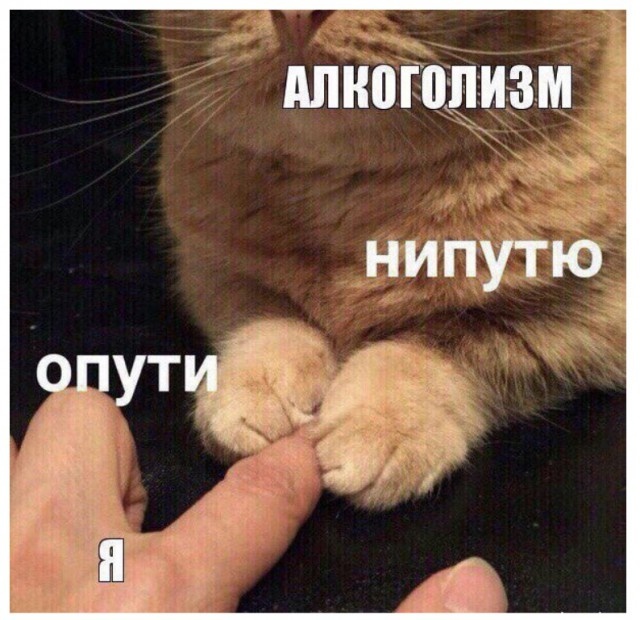 Пятничный алкогольный юмор