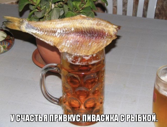 Пятничный алкогольный юмор
