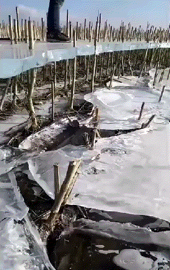 Интересные фотографии и необычные вещи